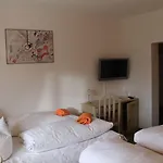 فندق Schwartze فايمر