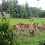 Schwartze 3* فايمر