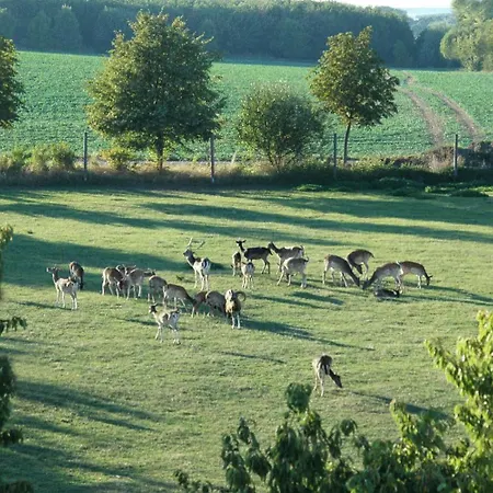Hotel Schwartze 3*