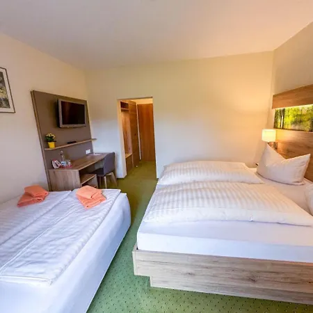 Hotel Schwartze 3*