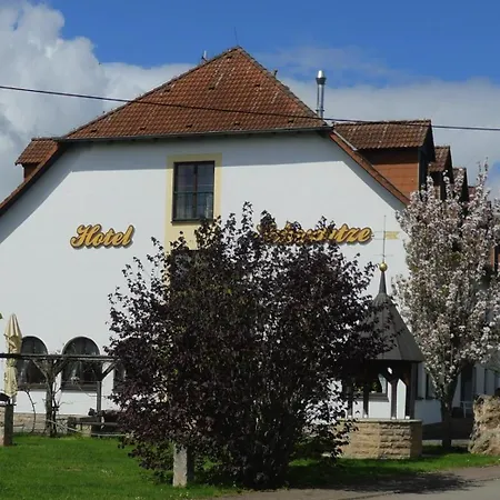 Hotel Schwartze 3*