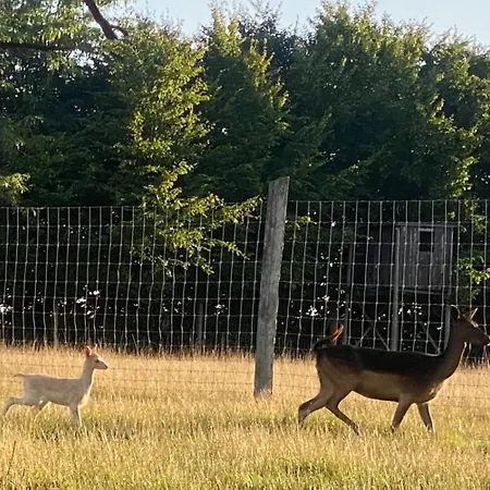 Schwartze Weimar (Thuringia)