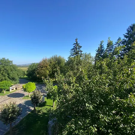 Schwartze Otel Weimar (Thuringia)