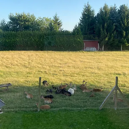 Ξενοδοχείο Schwartze Βαϊμάρη