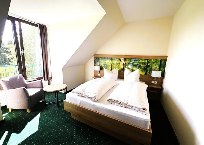 Otel Schwartze Weimar (Thuringia)