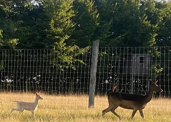 Schwartze Weimar (Thuringia)