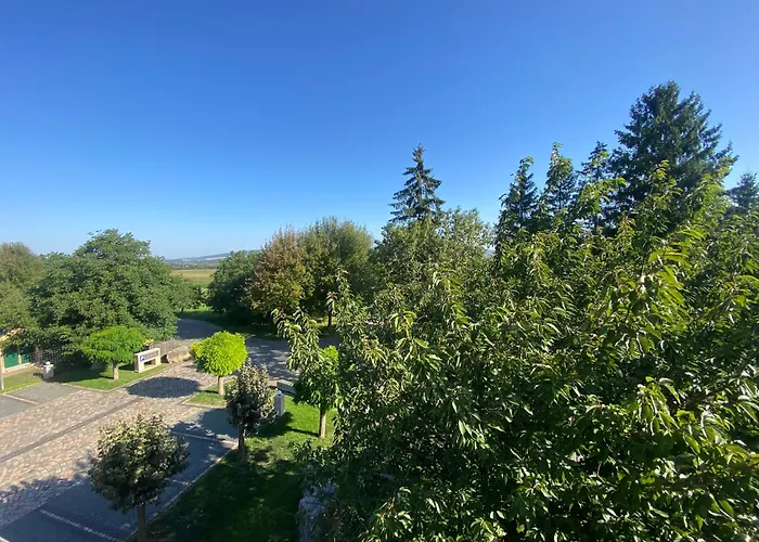 Schwartze Otel Weimar (Thuringia)