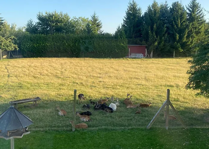 Hotel Schwartze Weimar (Thuringia)