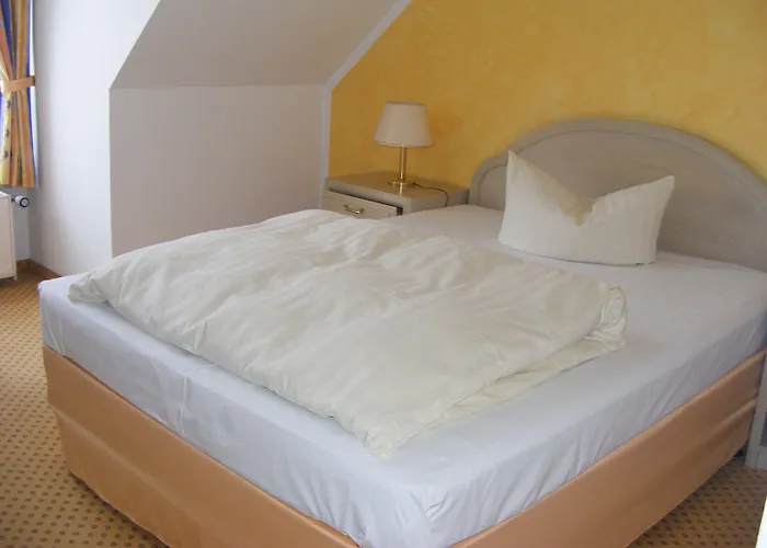 Otel Schwartze 3*