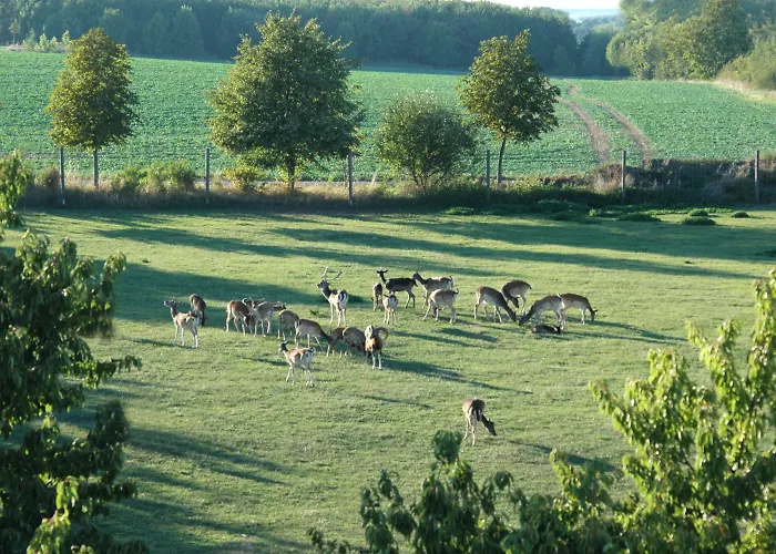 Schwartze 3* Weimar (Thuringia)