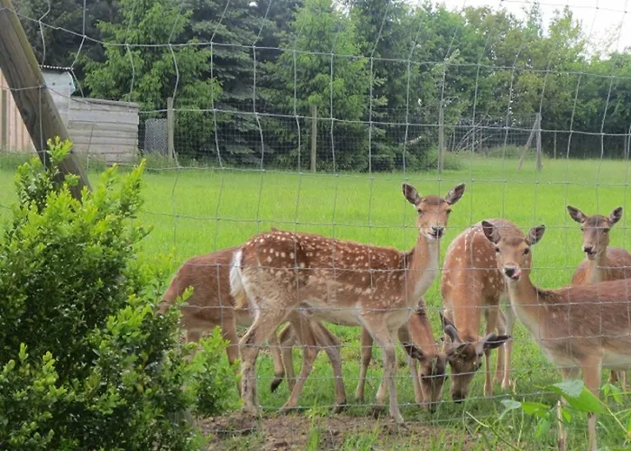 Schwartze 3* Weimar (Thuringia)